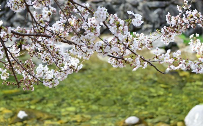 Yongchu valley yeohang pension