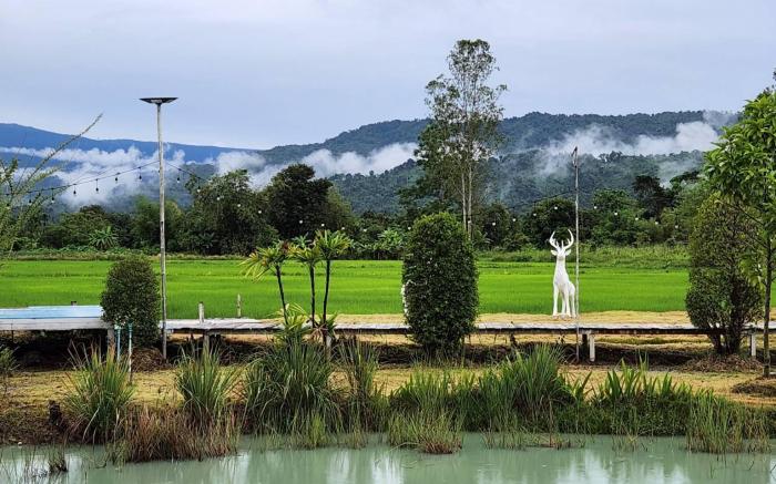 Phu Ing Na Café & Resort