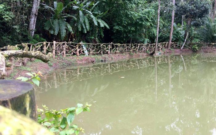 Green Glade Homestay-Coorg