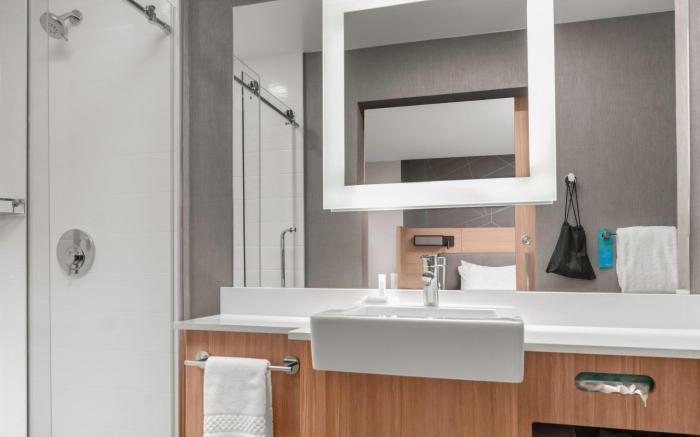SpringHill Suites by Marriott Raleigh Apex