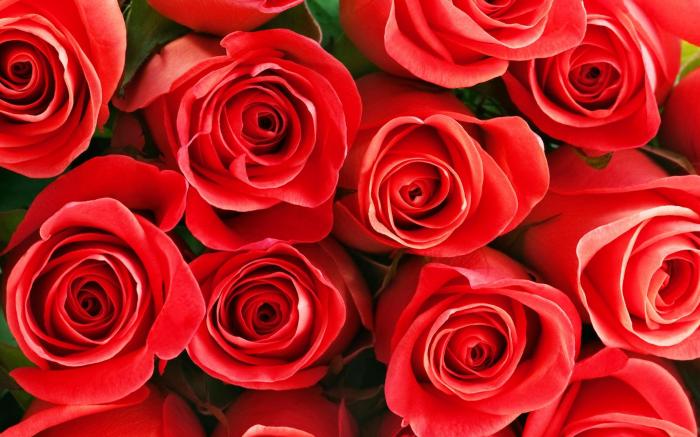 Hampton Inn & Suites by Hilton Toronto Markham