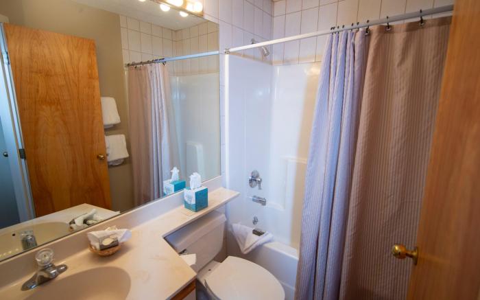 Mountain Lodge at Okemo