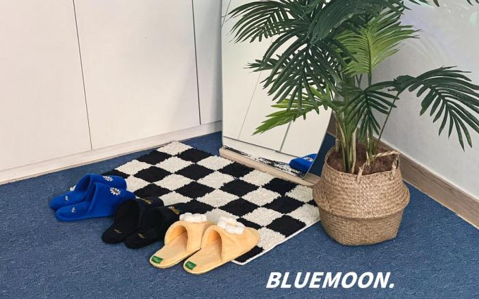 Bluemoon * Lakefront House in Jamsil