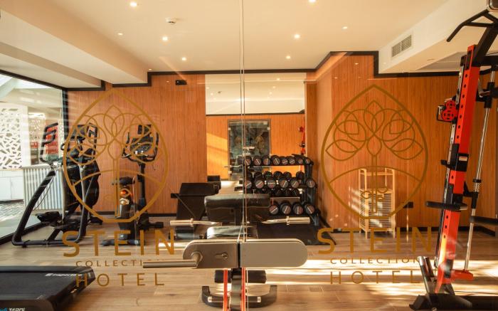 Stein Collection Hotel