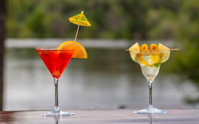 Azambezi River Lodge