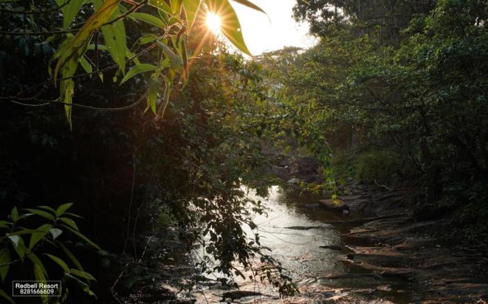 Redbell Resort Wayanad