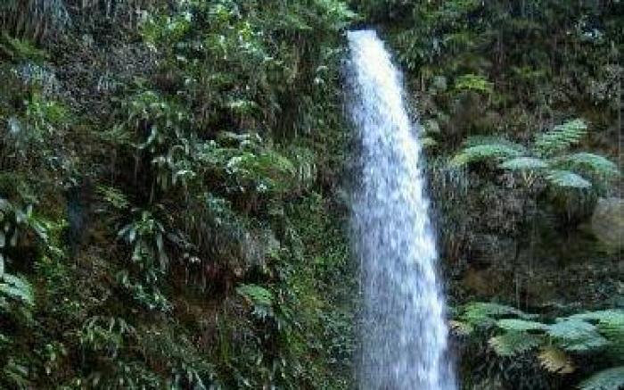 Hibiscus Valley Inn
