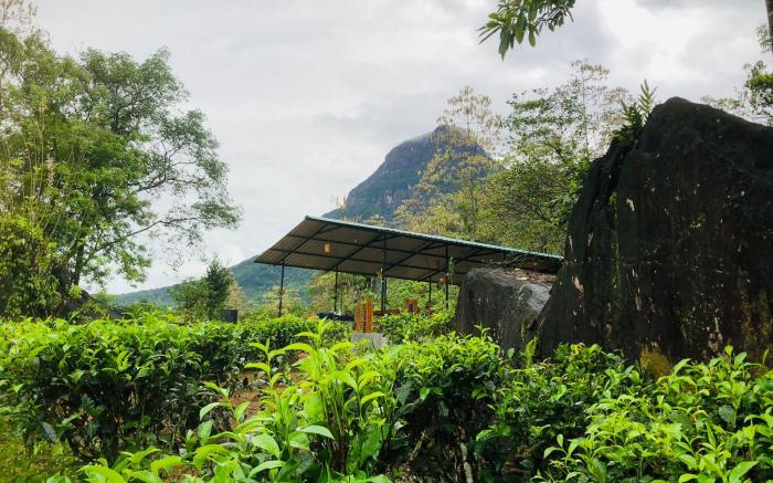 Palabaddala Tea and Eco Lodge