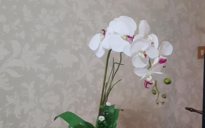 Condo Minium Patong Phuket