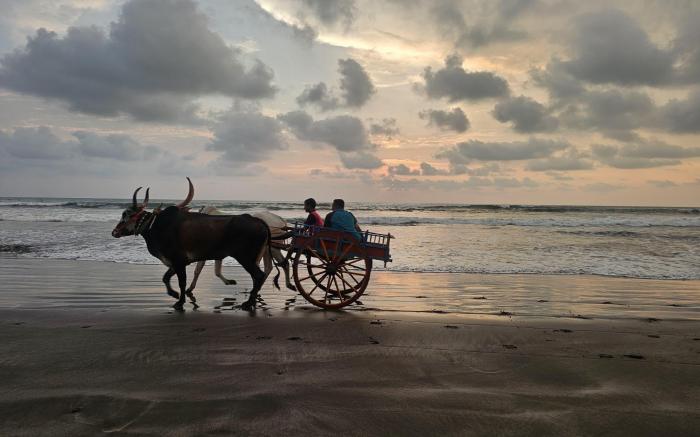 The Byke Skylark Seafront Resort, Dapoli