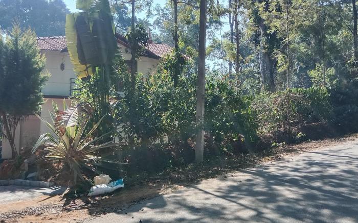 COORG HEAVEN PLANTATION STAY 