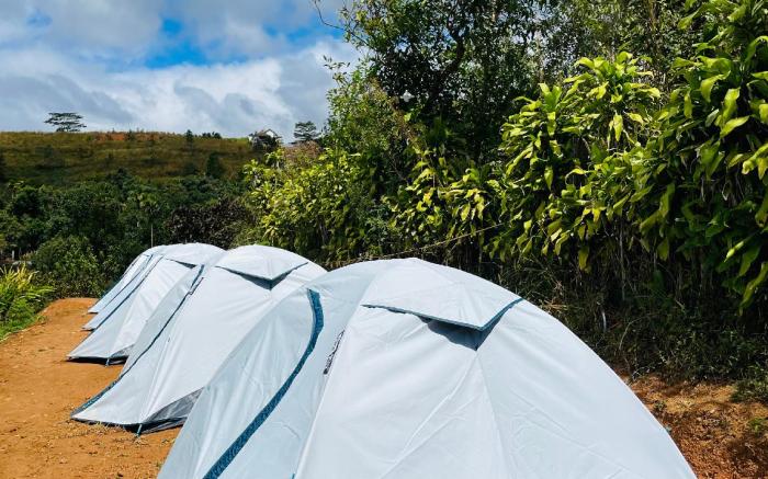 Tent Life