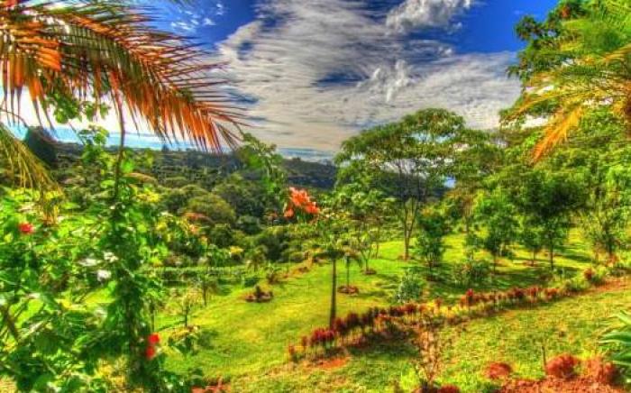 Hotel Mango Valley