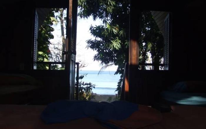 Howler Monkey Hotel