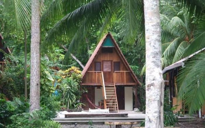 Howler Monkey Hotel