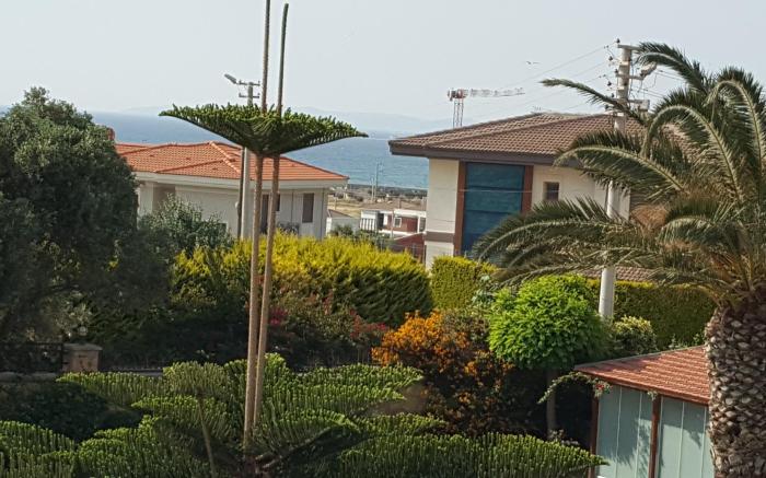 Family Homes No:5