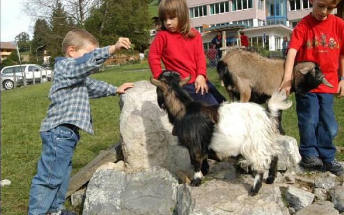 Ferien- und Familienhotel Alpina Adelboden