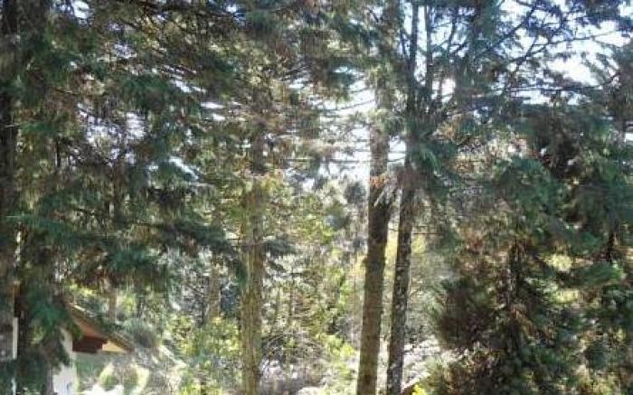 Pousada do Lago - Gramado