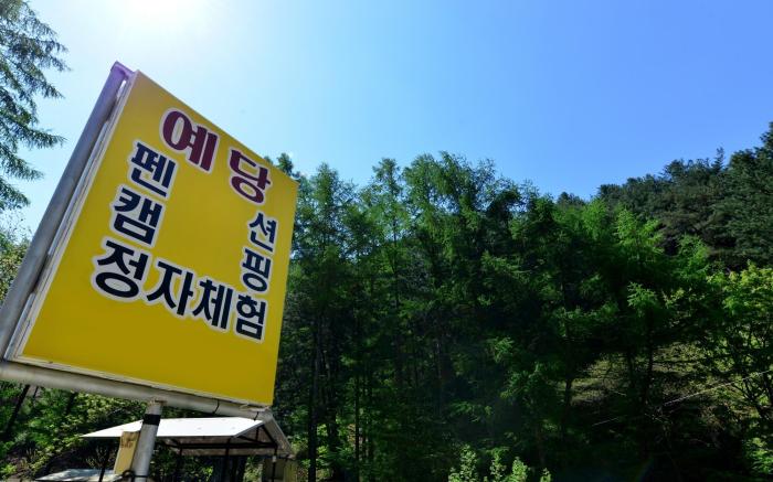 Bongmisan Gyegok Yedang Pension