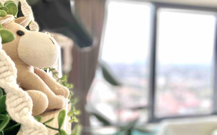 Top floor* Boho 3BR Suite by Happy Living