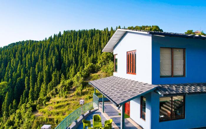 The Himalayan Deodar