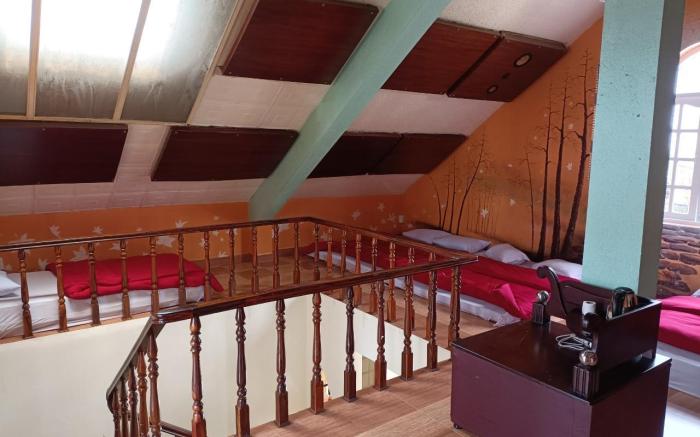 Lucid Dream Villa Homestay