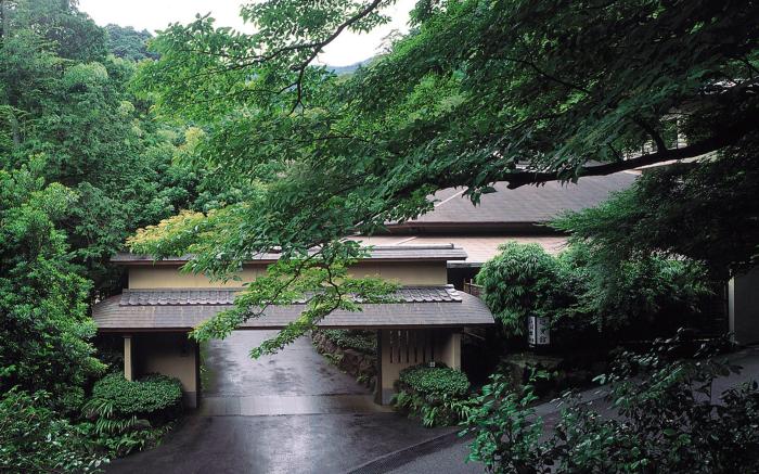 Oku-Yugawara Tsubaki