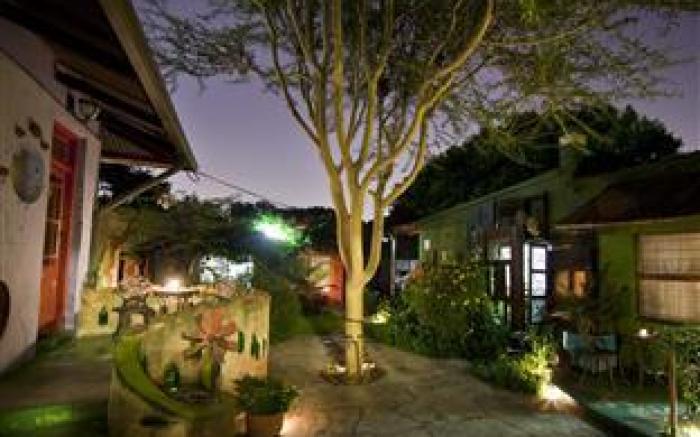 Rabbit Hole Hotel