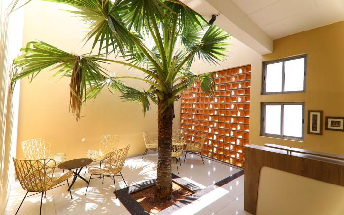 LA PALMERA 