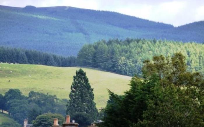Buccleuch Arms Hotel