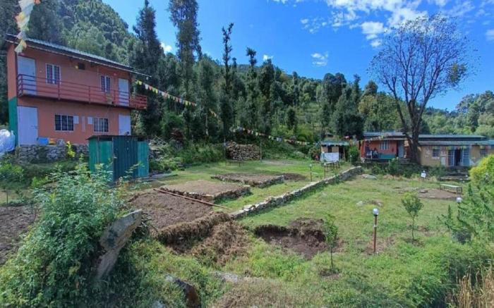 Chopta Eco Cottage & Camping