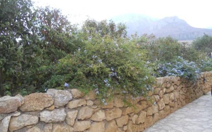 Casale Ginisara