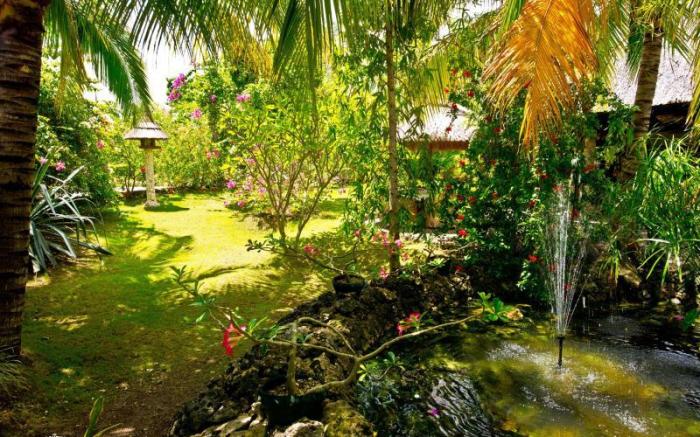 Dolphin House Resort Spa Diving