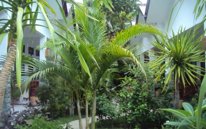 Ricel Homestay