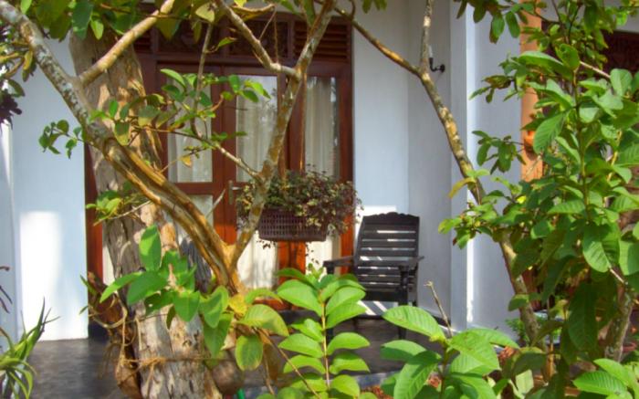 Peacock Wings Guest House