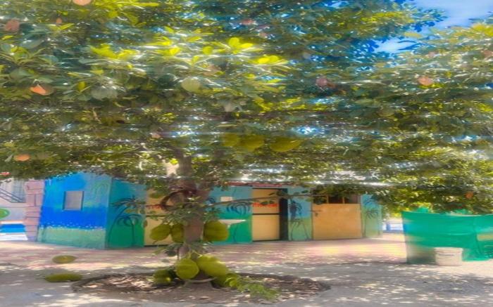 Manav Farm House