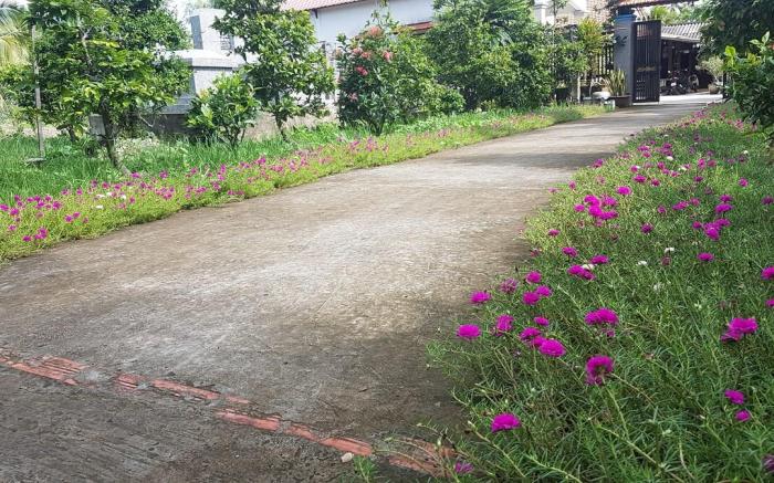 Hoa Lan Homestay & Garden