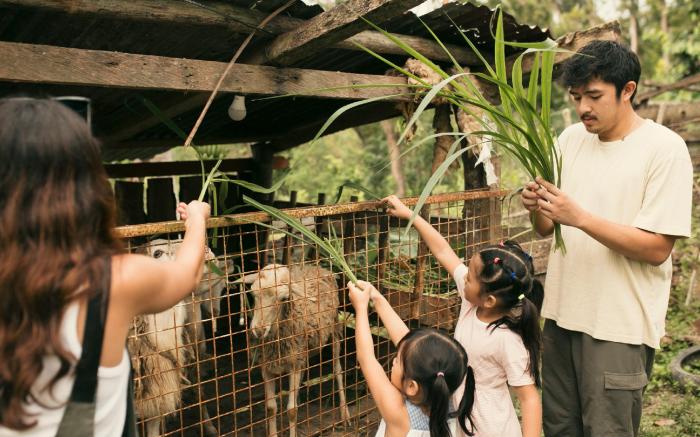 La Joya Farm Resort & Spa