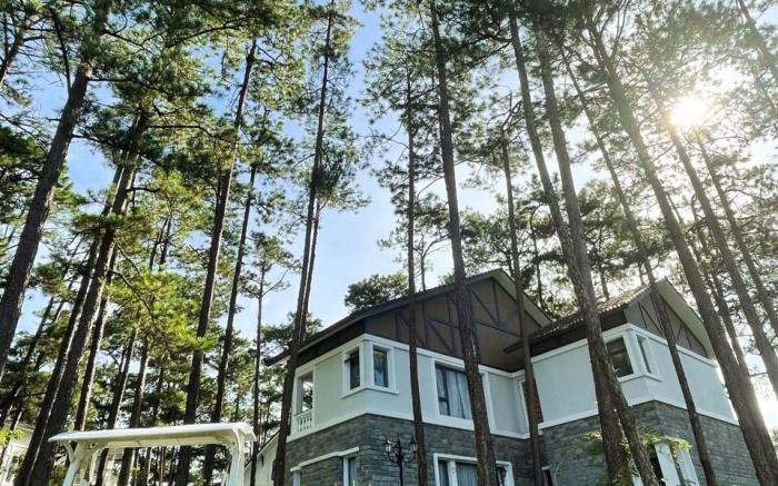 Vintage Villa (4br) surrounded by pine trees