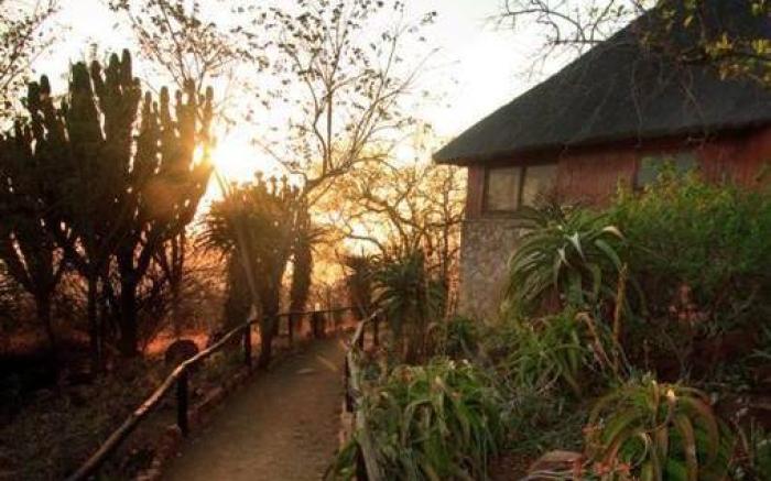 Shayamoya Tiger Fishing and Game Lodge