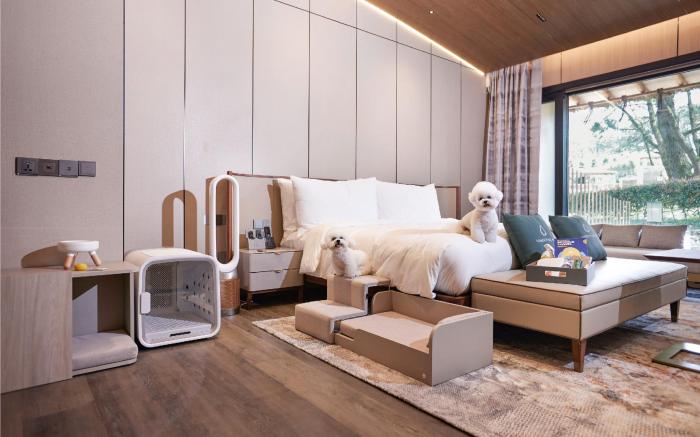 Amber Pure Hill Hotels & Resorts Jeju