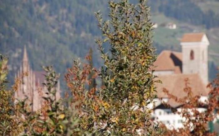 Hotel - Appartements Schmied Hans