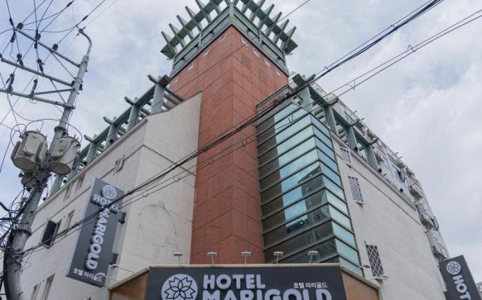 Incheon (Bupyeong) Marigold