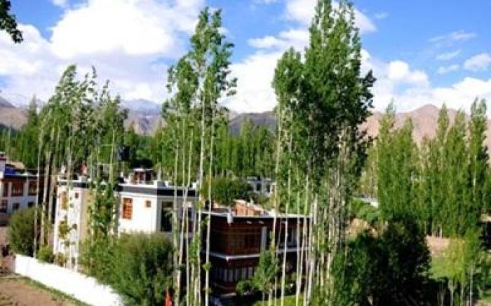 Hotel Ladakh Greens