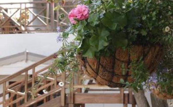 The Potting Shed Guest House