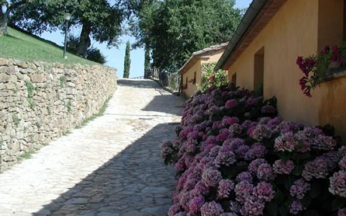 Agriturismo Podere l'Aione