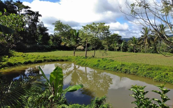 Coorg Relax Home 
