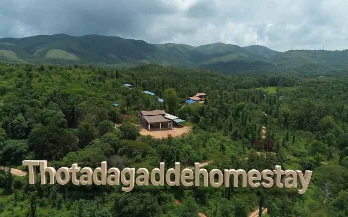 Thotadagadde homestay