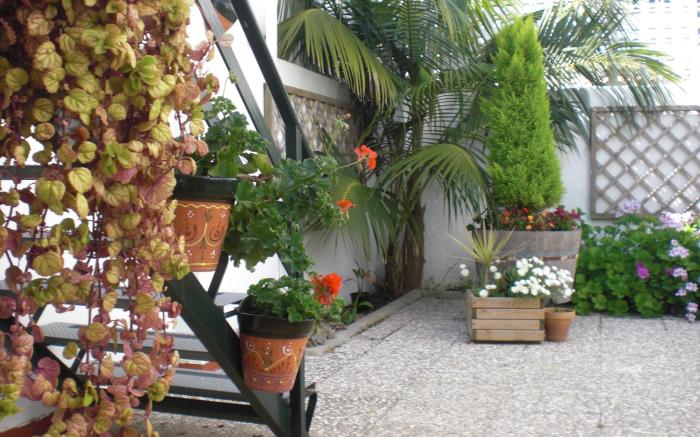 Apartamento Caracola.