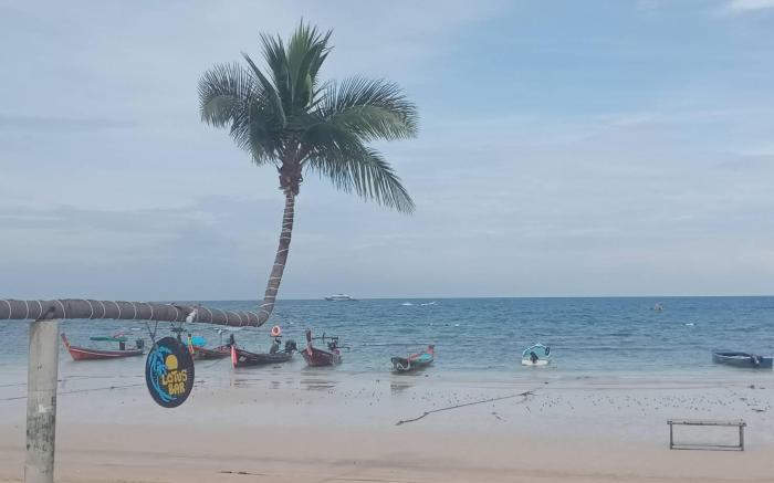 Lotus Hostel Beach Bar Koh Tao